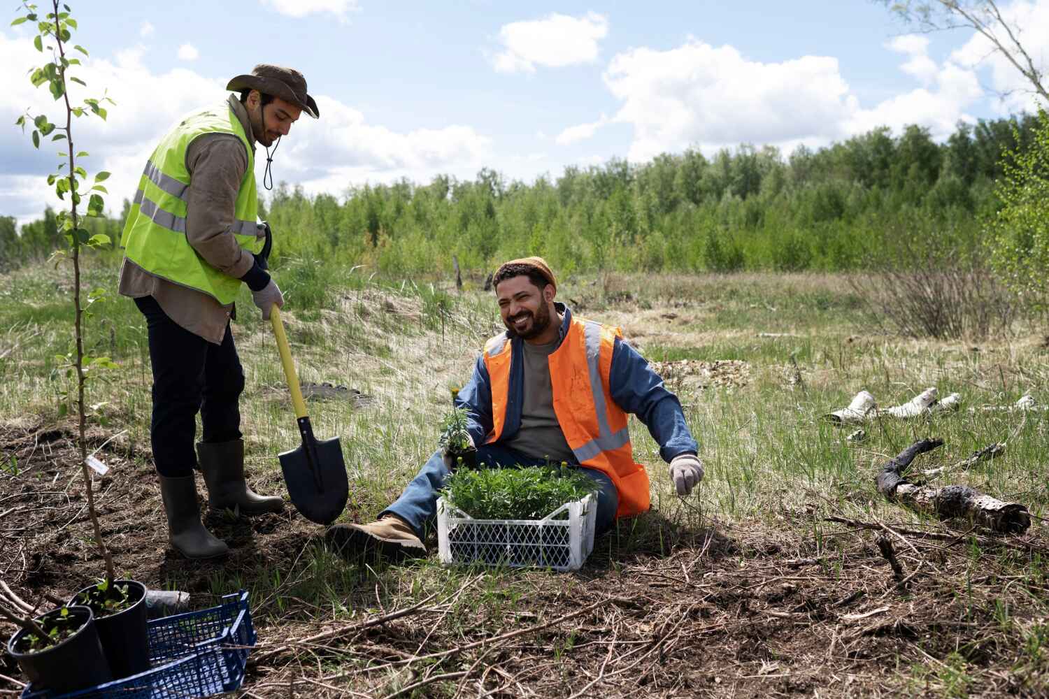 Best Commercial Tree Services  in USA